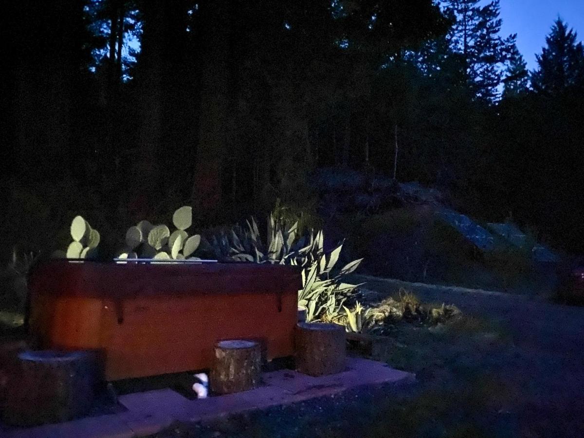 Glamping In The Redwoods With A Hot Tub! Hotel การ์เบอร์วิลล์ ภายนอก รูปภาพ