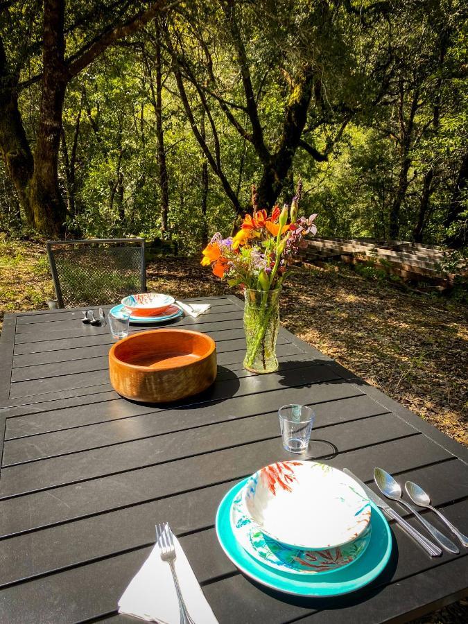 Glamping In The Redwoods With A Hot Tub! Hotel การ์เบอร์วิลล์ ภายนอก รูปภาพ
