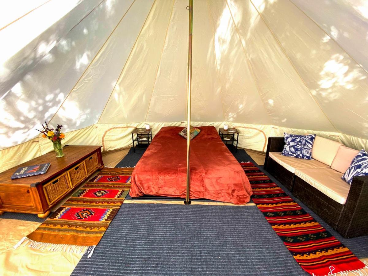 Glamping In The Redwoods With A Hot Tub! Hotel การ์เบอร์วิลล์ ภายนอก รูปภาพ